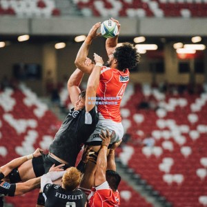 中国游泳队闪耀国际赛场 新星崛起再创佳绩